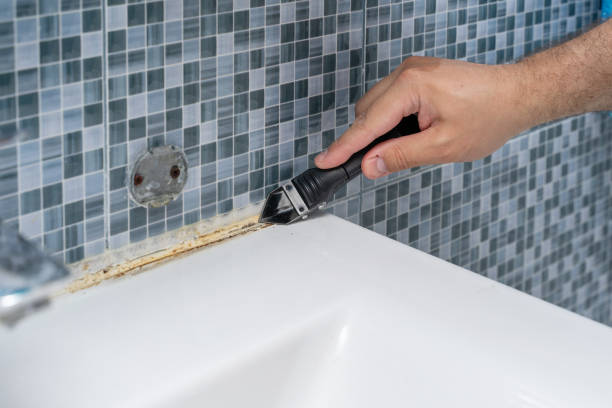 Best Mold Remediation for Specific Building Types in North Tunica, MS